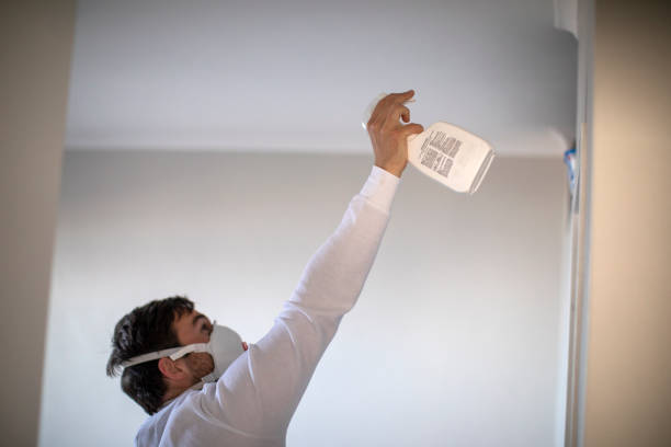 Best DIY Mold Remediation Support Services in Trenton, MI