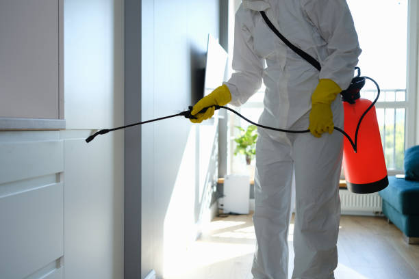 Best Insurance-Related Mold Remediation in Trenton, MI